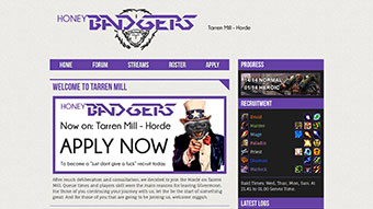 Honey Badgers Gaming - CMS Website Design Package